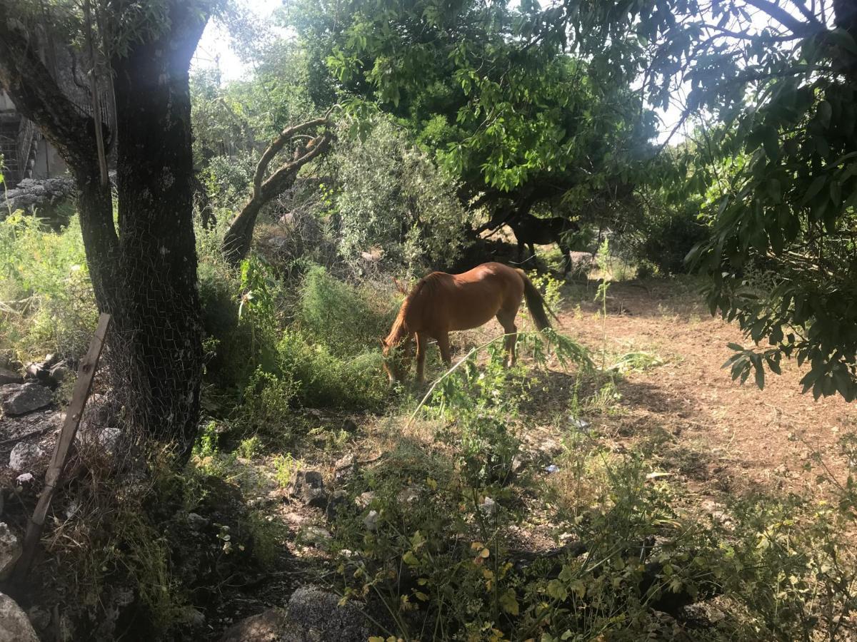Lazareto Villa Anogi Εξωτερικό φωτογραφία